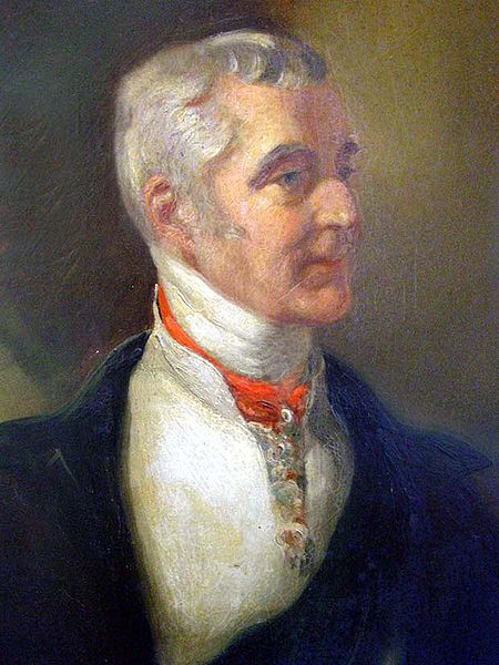 Portrait of the Duke of Wellington